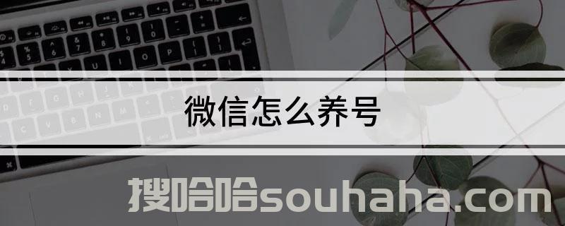 最新2022年微信怎么养号不容易被封？不得不知的，微信养号九大法则！《搜哈哈官网正版认证》